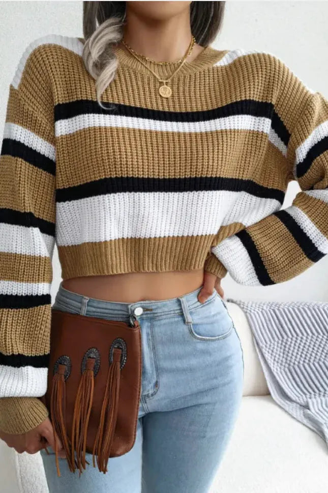 Plunge Neck Long Sleeve Knit Sweater